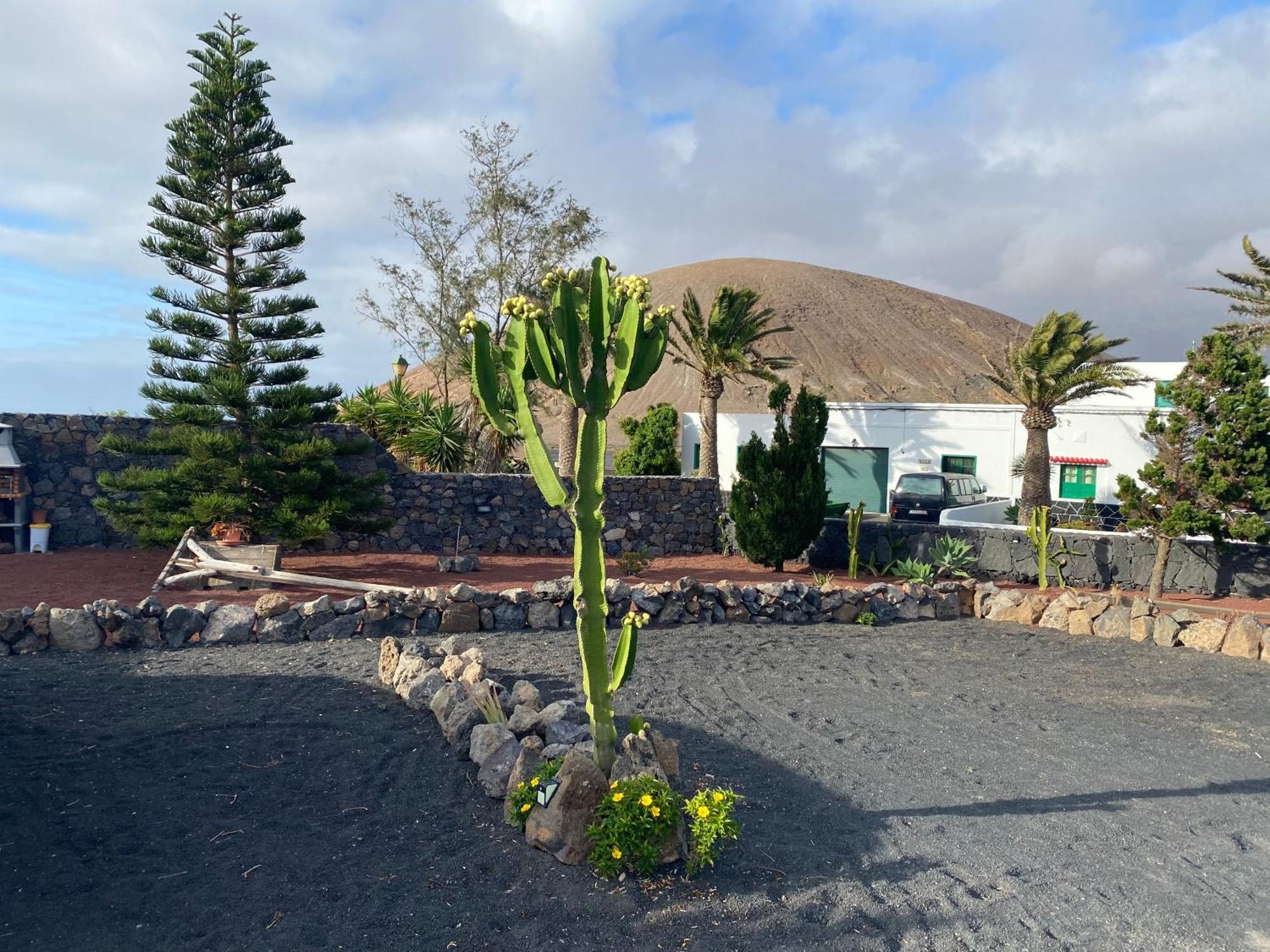 Casa Carla Villa La Vegueta Kültér fotó