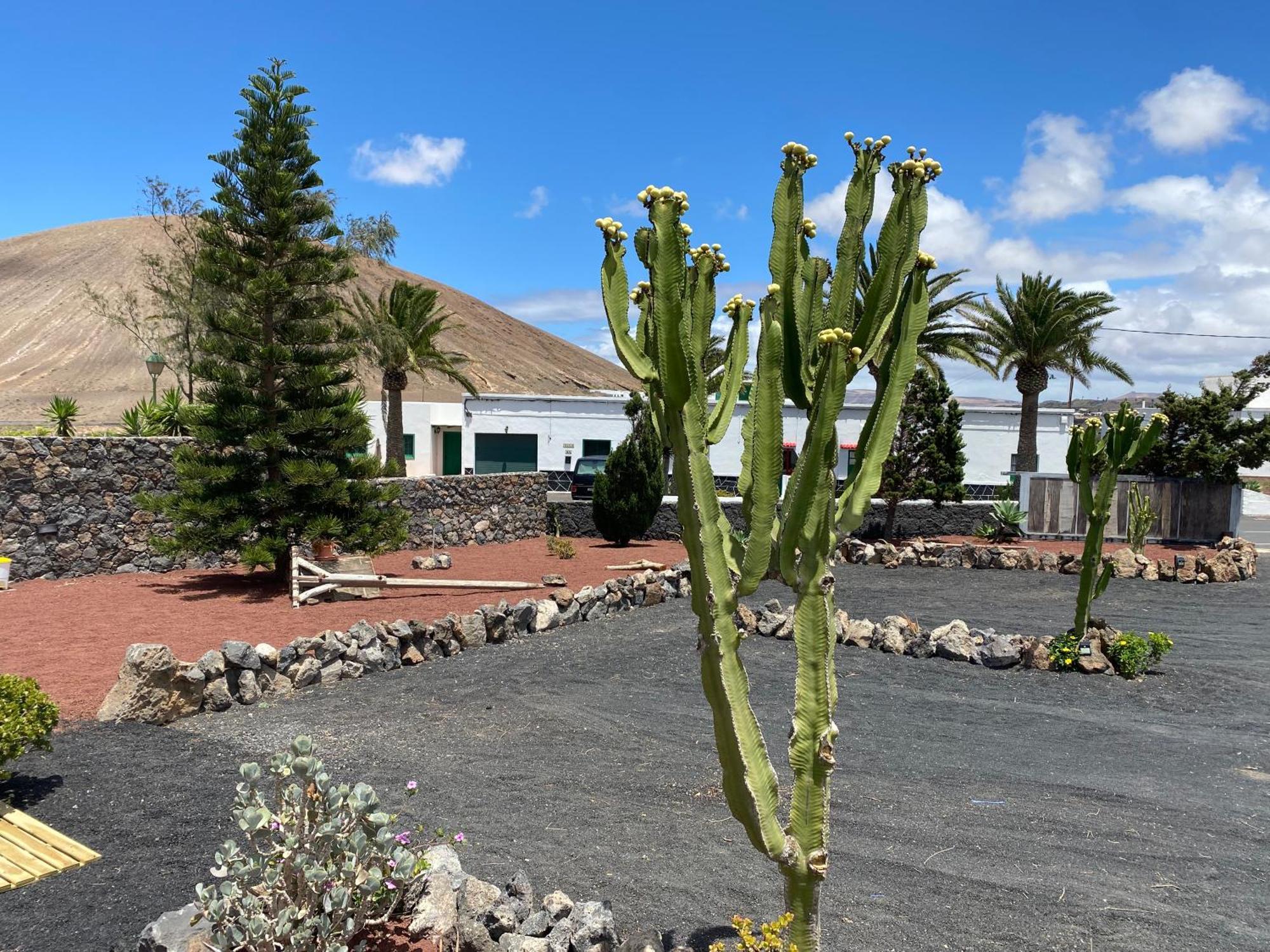 Casa Carla Villa La Vegueta Kültér fotó